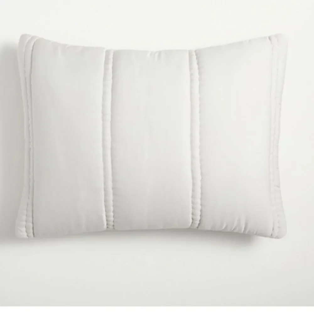 New- West Elm Silky Feel Lyocell Frost Grey Bed Plush Pillow Sham Cover